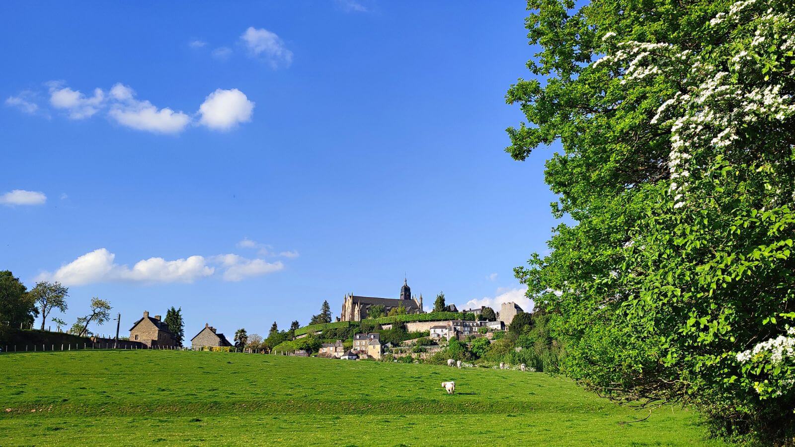 21fougeres-prairies-et-vergers